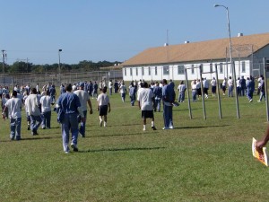 15025315 1220919497931040 3071871362130523008 o