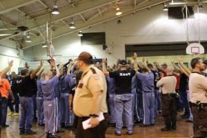 14195386 1162417573781233 274345518509243879 o